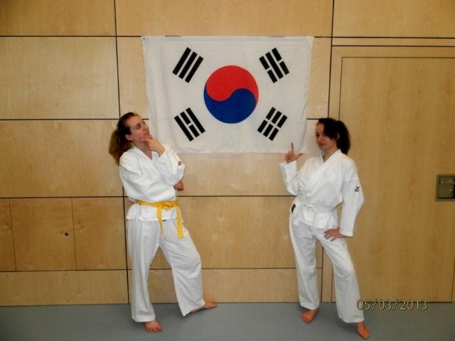 Taekwondo Training